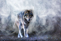 ein Wolf im Nebelwald by daoart