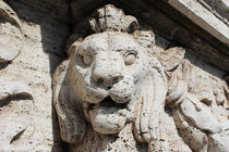 Lion, Roma  by Tricia Rabanal