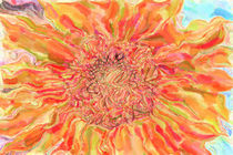 Sonnenblume von mario-s