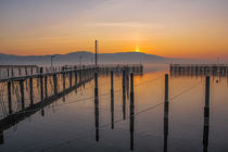 Steganlage Jachthafen Bodman bei Sonnenaufgang - Bodensee von Christine Horn