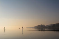 Der Zeller See bei Iznang im Morgenlicht - Halbinsel Höri - Bodensee by Christine Horn