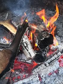 Feuer und Flamme 2 von susanne-seidel