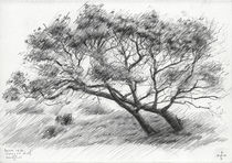 Tree at The Hague Golf 1 - 03-06-14 von Corne Akkers