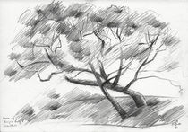 Tree at The Hague Golf 4 - 03-06-14 von Corne Akkers