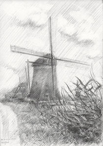 The three mills (near Leidschendam) - 23-05-14 von Corne Akkers