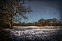 Snowy Tidmarsh Meadows by Ian Lewis