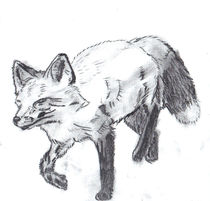 Fox on the Prowl von Joel Furches