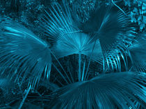 turquoise coconut foliage by erich-sacco