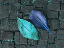 two turquoise leaves on the floor by erich-sacco