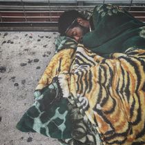 Tiger Blanket Sidewalk Sleeper by David Grave