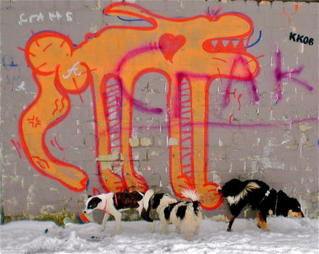 Grafitti-encounter-edgar-luck-2008-cimg1670