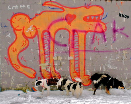 Grafitti-encounter-edgar-luck-2008-cimg1670