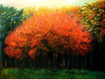 Autumn tree at Laren (2013) von Corne Akkers
