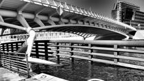 Brücke Calatrava Berlin by k-h.foerster _______                            port fO= lio