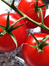 Tomaten  by susanne-seidel