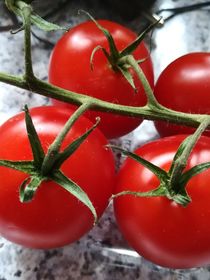 Tomaten Mediterran  von susanne-seidel