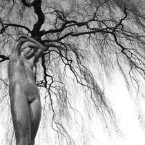 Baum des Lebens von Bastian  Kienitz
