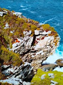 Klippen in Irland Valentia Island  von susanne-seidel