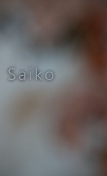 Saiko by imagosilence