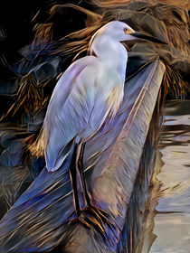 Great White Heron by Artly Studio