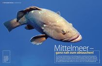 Artikel Mittelmeer / TAUCHEN by Frank Schneider