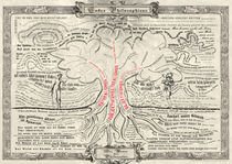 Codex Philosophicus - Der Baum der Philosophie von Thomas Demuth