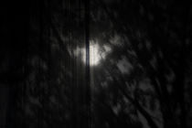 Mond verhangen von Bastian  Kienitz