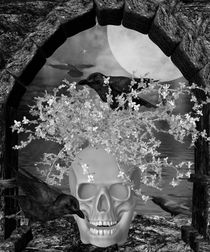 Skull - Raven by Conny Dambach