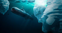 U-Boot taucht unter dem Eis by Sven Bachström