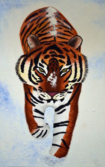 Tiger im Schnee by Iris Heuer