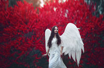 Blood angels by Marina Zharinova