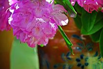 Stillleben mit Rhododendron... 1 von loewenherz-artwork
