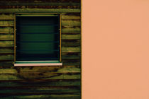 Grünes Fenster von Bastian  Kienitz