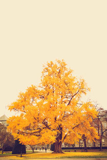 Yellow Tree von cubecreative