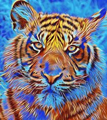 Wildlife Tiger by Beate Braß