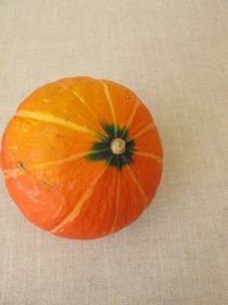 Ein kleiner roter oranger Hokkaidokürbis von Heike Rau