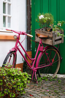Blumen rosa Fahrrad Glücksklee rustikal nostlagisch von Christine Maria Grosche