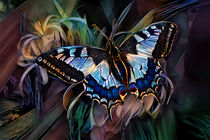 Alighted Swallowtail Butterfly by Artly Studio