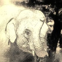 Digital Art Elefant by kattobello
