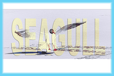 Seagull-layout-1-vin-8