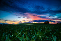 Abendstimmung in den Maisfeldern cornfields twilight von Christine Maria Grosche