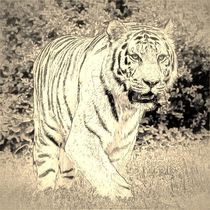 Digital Art Tiger by kattobello