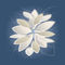 White-stone-petals-png