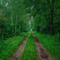 Endless Green Road by Kai-Patrick Francis