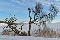 Norwegen Winter by norways-nature
