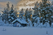 Norwegen, Winter by norways-nature