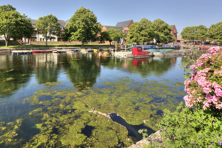 Canal-basin-chichester
