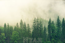 nyah.woods1 by nyah