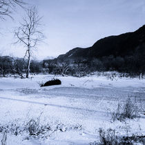 Winter im Bleistätter Moor by Christian Handler