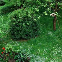 GEMÜTLICHE RUHEOASE. Garten mit Vogelhäuschen im Frühling. by li-lu